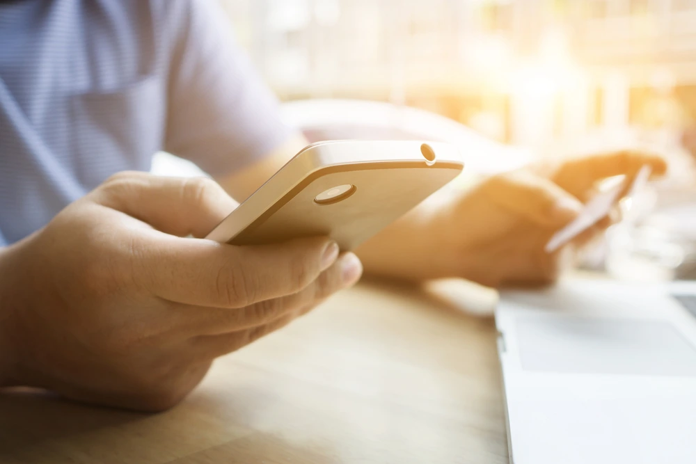 checking online for visa file number